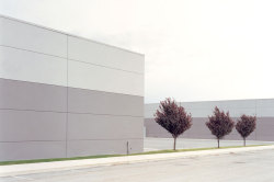 Three Red Trees Photo By J. Bennett Fitts, Industrial Landscape(Ing) Series