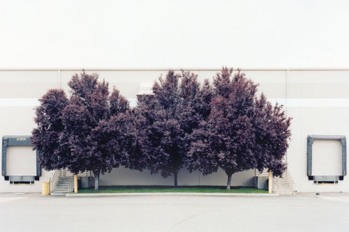 Porn photo Loading Dock with Trees photo by J. Bennett