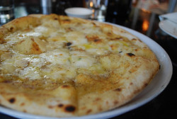 darkromantics:  Four Cheese Pizza - close-up - Giant Steps Winery AUD22 (by Alpha) 