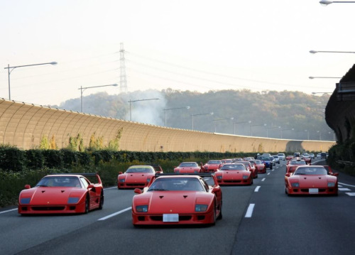 pinto:  The Meditation Chamber: Motoring: Ferrari F40s Come Out to Play [blast from the past]