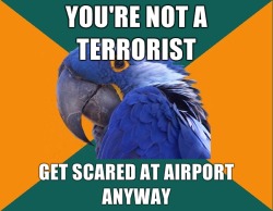 fyeahparanoidparrot:  http://fyeahparanoidparrot.tumblr.com