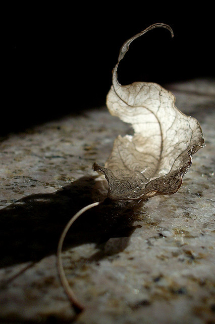 0hmm:  You only lose what you cling to… http://youtu.be/NnWy5qgdUqE oohhmm…ॐ 