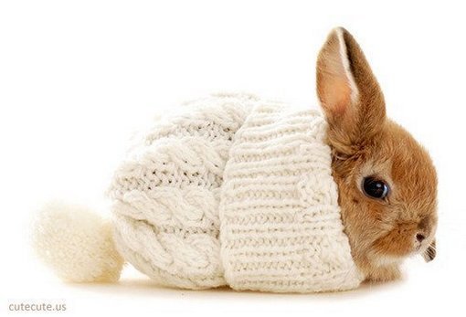amagicalplacetobe:      This is the sweetest thing I EVER EVER SAW!!!!! 