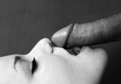 Labrujita:  He Moaned And Slid His Cock Over Her Chin Up To Her Lips. She Kissed