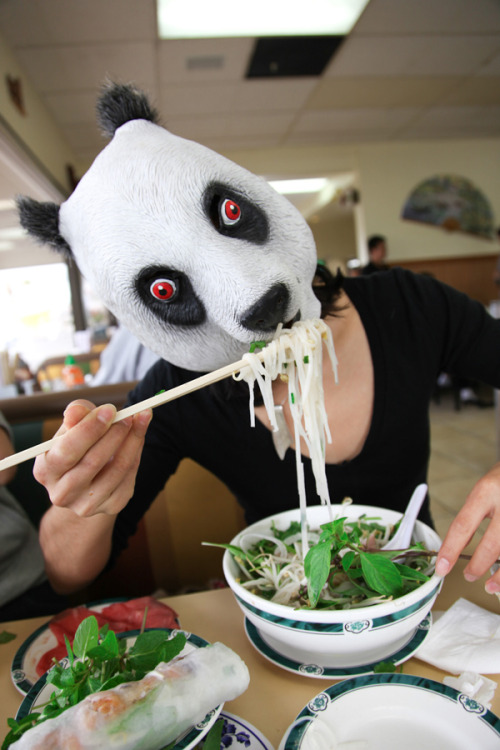 fuckyeahpho:  there’s nothing like a PANDA who enjoys PHO! 