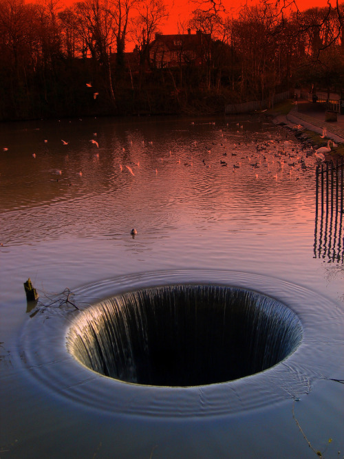 dangel799:  Water Hole ~ Ducks watch out! :)