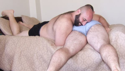 superbears:  nodnol:  bearsimjealousof:  Really really.  I wanna do this right now!  BIG MEATY FURRY BUTT LOVIN’
