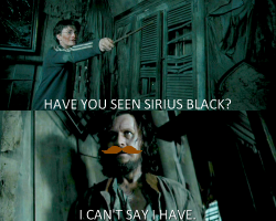 voldemortoutbitches:  Has anyone seen Sirius