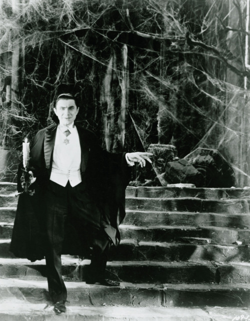 vintagegal:  Bela Lugosi in Dracula 1931   Um, Bela…