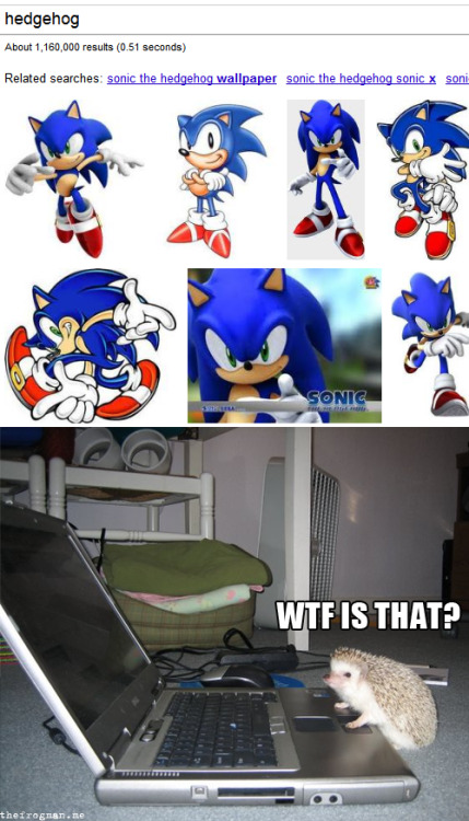 Funny Pictures