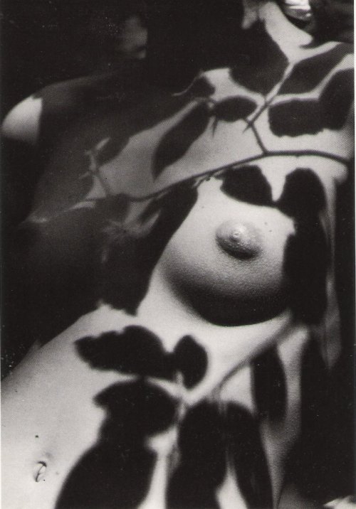 silverscents:   Le feuillage, Philippe Pache, 1991  