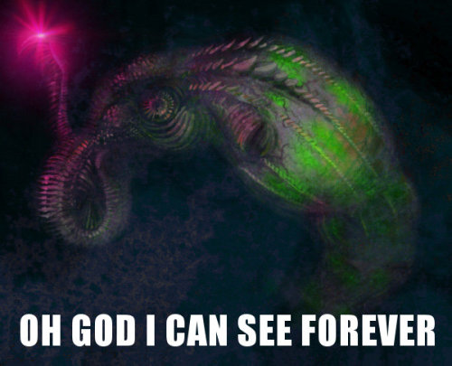 tumblr photo themadnessislaughing 0