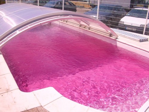 jideni3:dendropsyche:cygate:how many transformers did you have to kill to fill this pool It&rsq