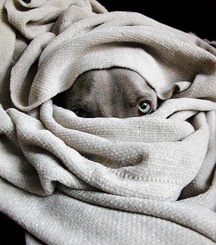seemoreandmore:“ Bedouin by Anji Tillemans”