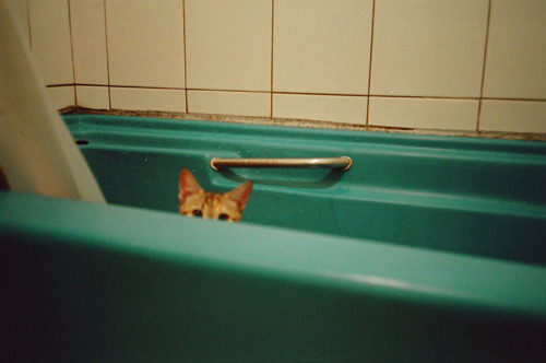 hello.