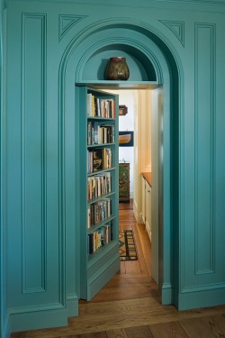 whiskeysoaked:  Bookcase door in robins egg