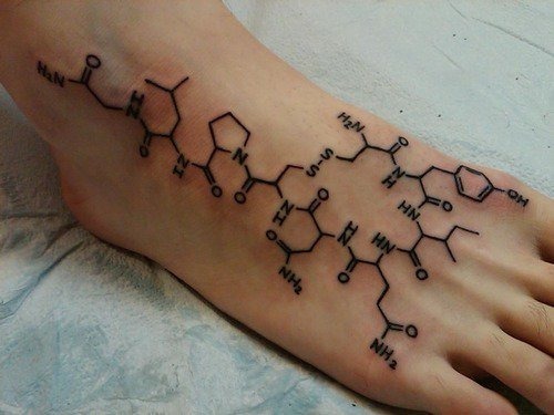 raebearr:  Oxytocin molecule, the hormone that makes one fall in love. 