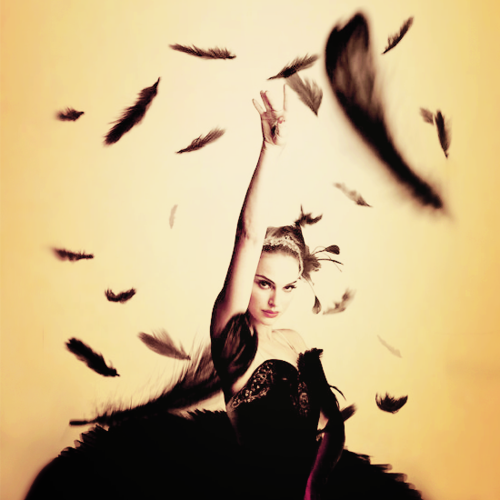 imgfave:  ★ discovered on imgfave.com (social image bookmarking) 