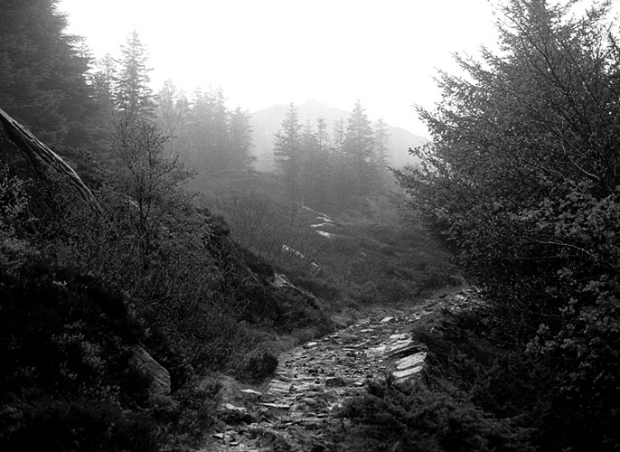 laudanumandarsenic:  transylvanianmisanthropy:©Peter Beste 