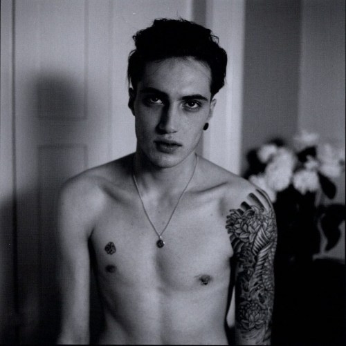 #max barreau on Tumblr