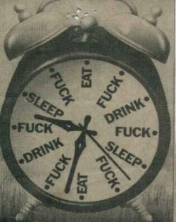 katastrophicmood:  This is what my biological clock looks like.  