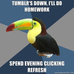 fuckyeahidonteven:  tumblr addicted toucan
