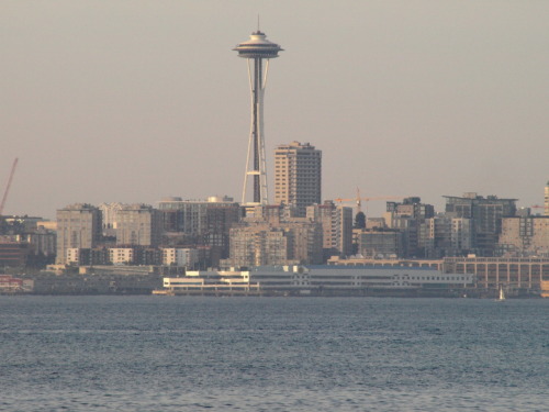 XXX Seattle Washington. <3 photo