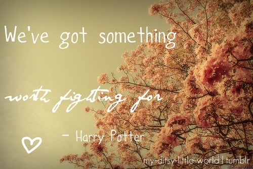 imagequotes:  Quote from HP OotP (movie) Photo found at ??? Edited by: www.my-ditsy-little-world.tumblr.com 