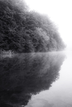 black-and-white:  mist on Photography Served