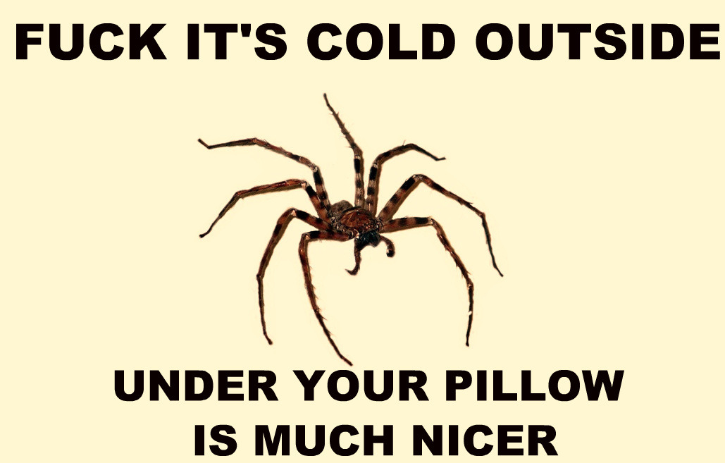 words-just-aint-enough:  NOT IN MY HOUSE  Jeezus! No way!
