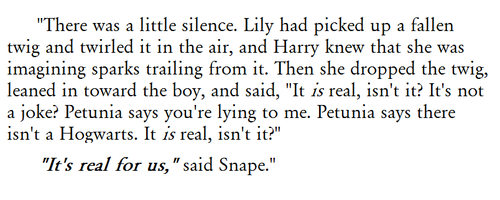 oh-potter-you-rotter:  And Muggles need to understand that that’s all that matters.