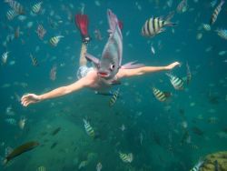 nickdouglas:  Fish photobomb! Snorkeler Photo - Thailand Wallpaper – National Geographic Photo of the Day EDIT: Oh man, I meant to put this on my other tumblr, Urlesque.tumblr.com. And then Tumblr put it on the radar! So if you find my blog a little