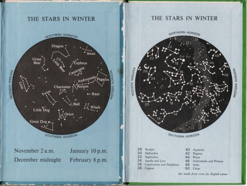 starrystillness:  The stars in winter from the Ladybird books, The Night Sky and The Stars and Their Legends. 