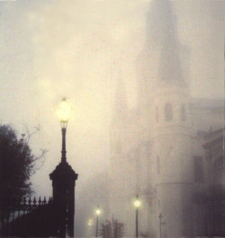 thebeldam:  Misty Morning Fog by ~electricGypsy