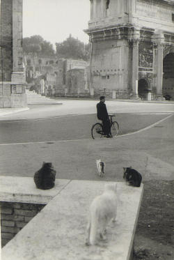 artemisdreaming:  arsvitaest:  Henri Cartier-Bresson,