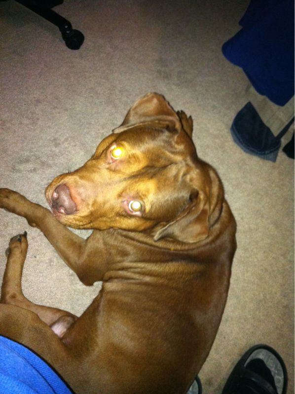My boy Melo