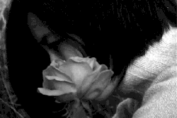 xxx tumblr