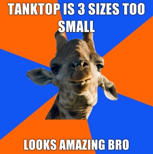 fuckyeahidonteven:  douchebag giraffe  Lmao