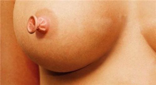 http://starter-wife.tumblr.com/post/4506036403