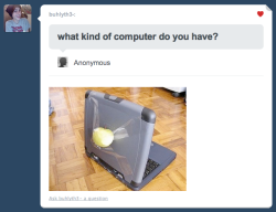 kjakerz:  lol APPLE. 