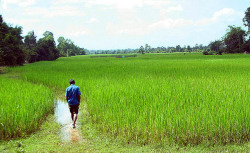 Cambodia. &lt;3