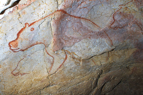 uncertaintimes: Cave bears, Chauvet cave painting Fate of the Cave Bear