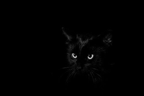 eric-is-generic:  Ooops! 