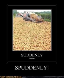 Bollyknickers:  Shtickeywicketwatson:  I Did Not Just Burst Out The Word “Spuddenly”