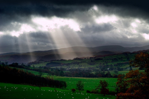 Breaking Through (by Tommy Martin)