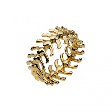 Gold Plate Spine Ring
Shaunleane