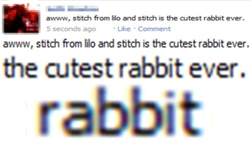 amberbanana:  amillionlittlestars-:  ultimatebieberblog:  -sweetsilverlining-:  rabbit? lolol fail  LOLOLOLOLOLOLOLOLOLOLOLOLOLOL.  FAILFAILFAILFAILFAILFAILFAILFAIL  omfg wtf xD 