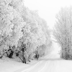 dangel799:  Photo by diesmali ~ Winter Wonderland ~ I wish it would snow :) 