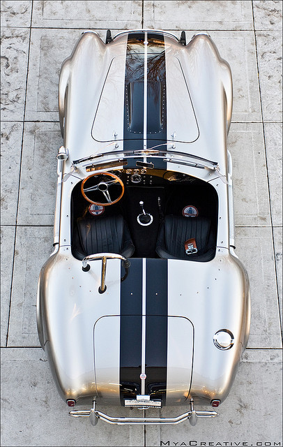 fullthrottleauto:  carpr0n:  Year of the snake Starring: Shelby 427 Cobra (by Jeremy