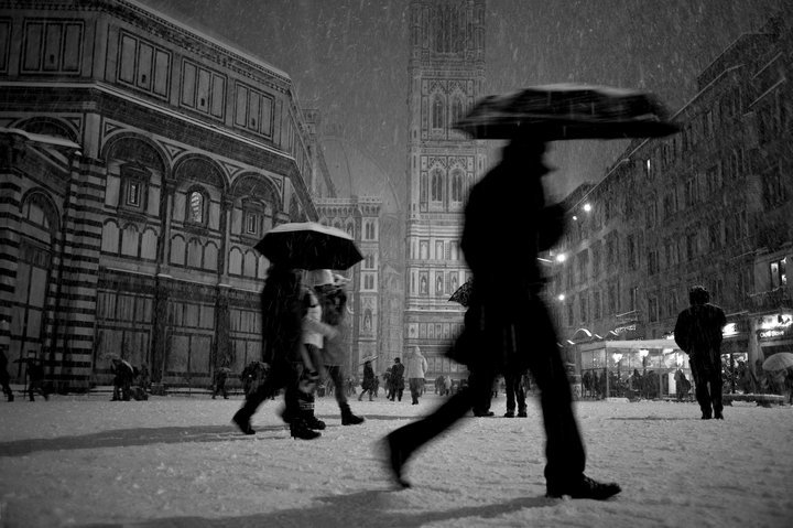 plettrude:  (Foto di Domenico Palopoli) 